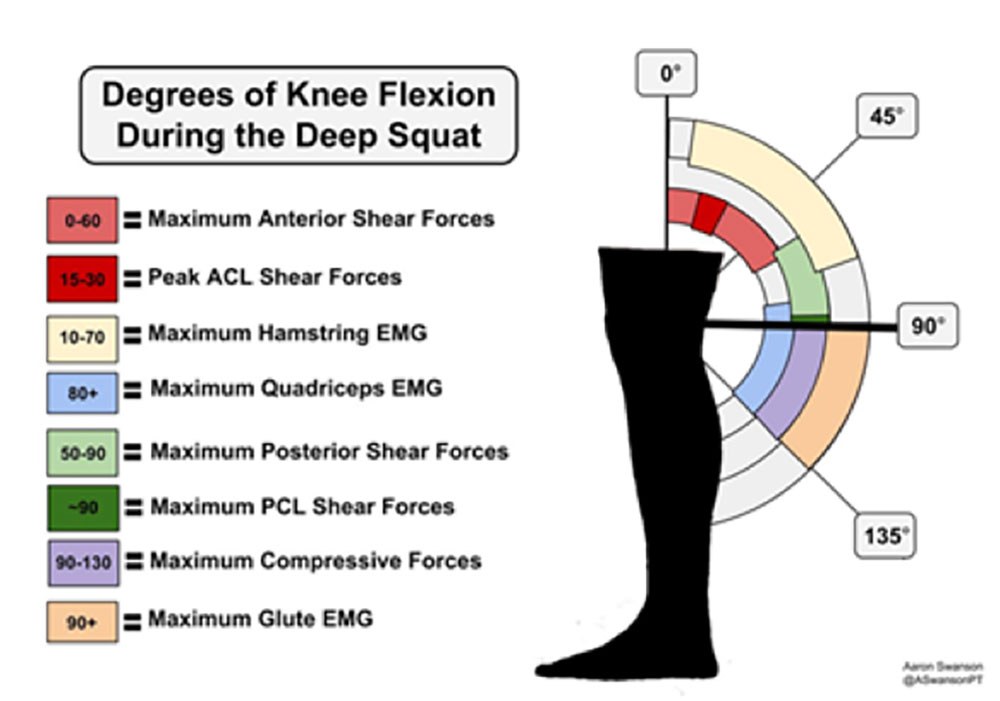 Degrees of knee flexion during the deep squat